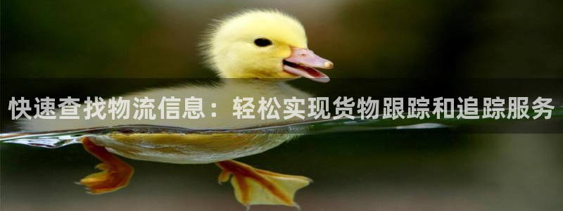 28圈能不能退：快速查找物流信息：轻