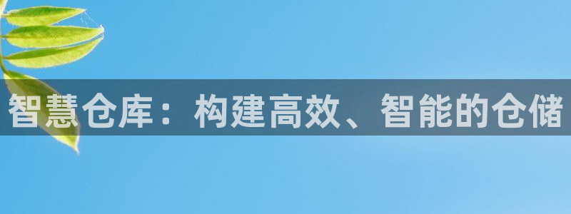 28圈模拟：智慧仓库：构建高效、智能