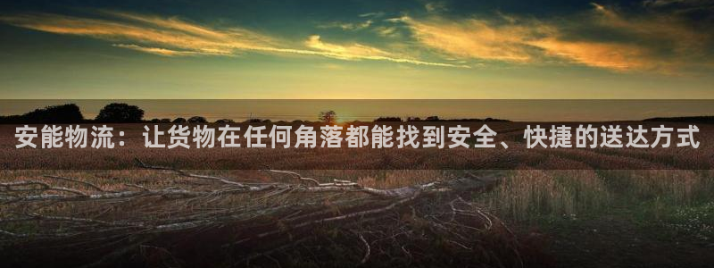 28圈加拿大6.0：安能物流：让货物