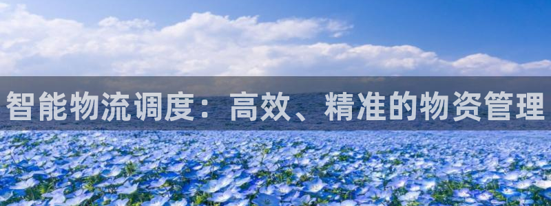 28圈官网网站:智能物流调度:高效、