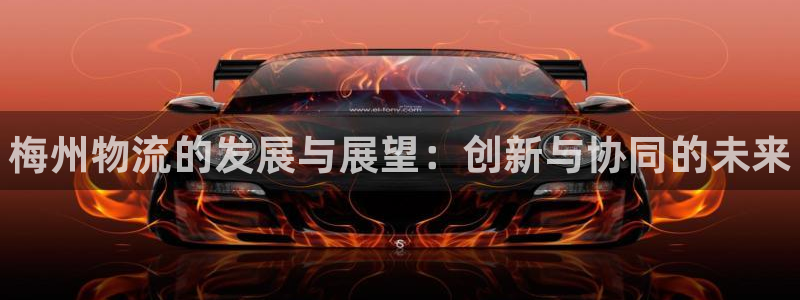 28圈注册登录：梅州物流的发展与展望