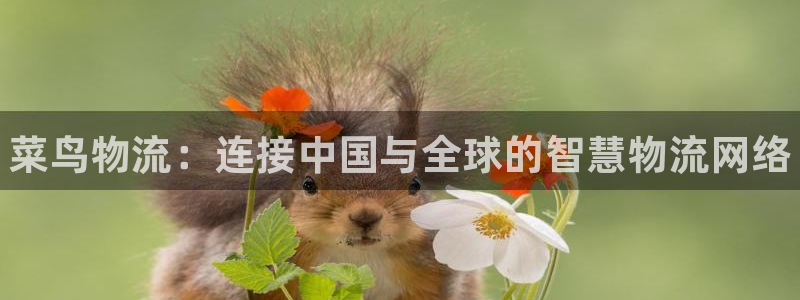 28圈吧：菜鸟物流：连接中国与全球的