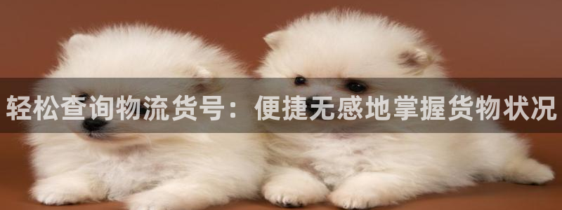 28圈和南宫28什么关系：轻松查询物