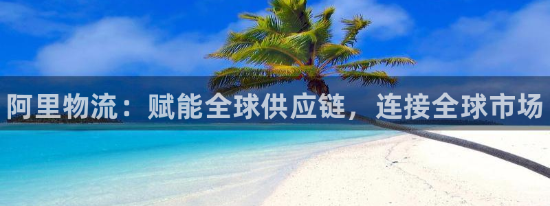 28圈平台注册：阿里物流：赋能全球供