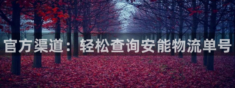 28圈加拿大怎么玩：官方渠道：轻松查