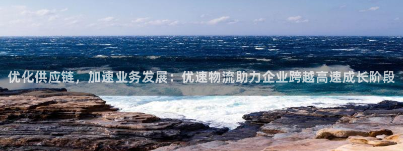 28圈分分28预测：优化供应链，加速