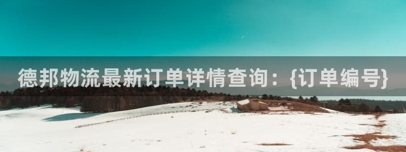 28圈加拿大28：德邦物流最新订单详