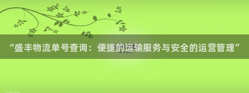 28圈.ccm官网：“盛丰物流单号查