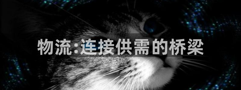 28圈相信品牌的力量：物流:连接供需