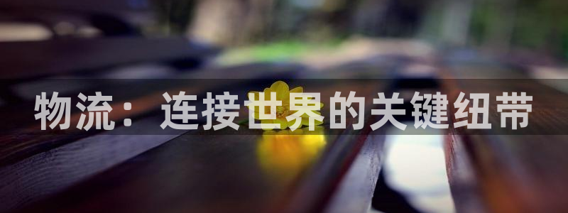 28圈.ccmpc29官网版：物流：