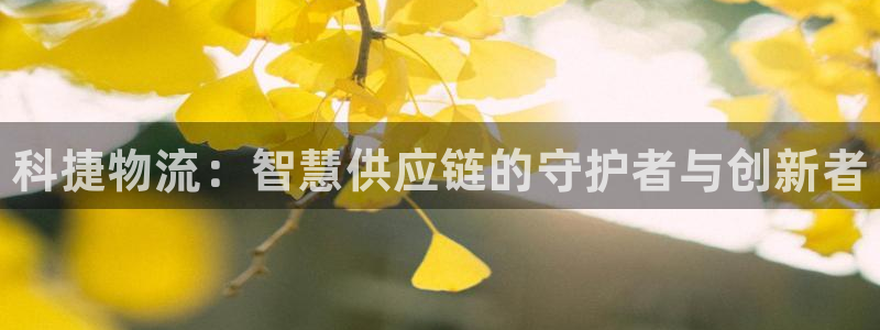 28圈注册条件：科捷物流：智慧供应链