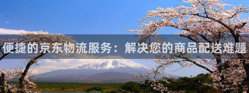 28圈注册网站谁有：便捷的京东物流服