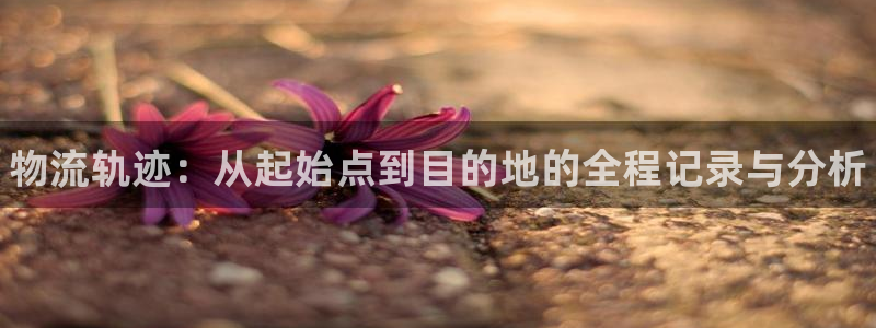 28圈网站平台是多少：物流轨迹：从起