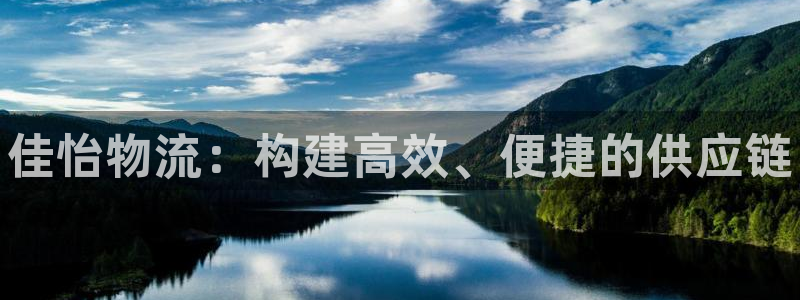 28圈下载链接是多少：佳怡物流：构建