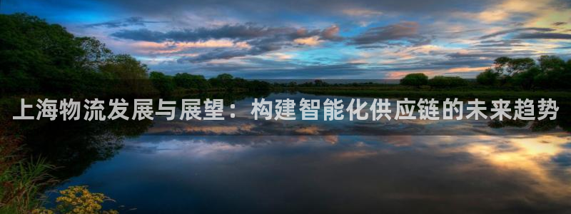 28圈：上海物流发展与展望：构建智能